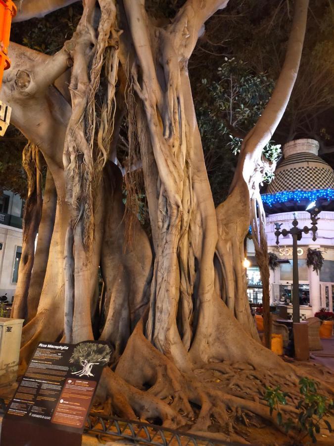 City Center Alicante - Santa Lucia - Atico מראה חיצוני תמונה